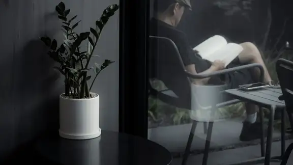 A potted ZZ plant with glossy green leaves in an indoor setting.